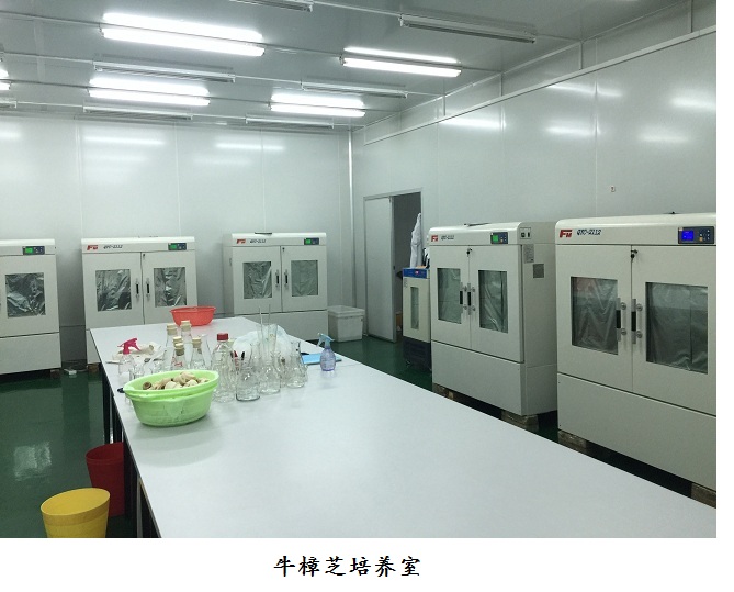 牛樟芝培养室1.jpg